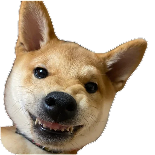 Sticker Akinator2 - 1