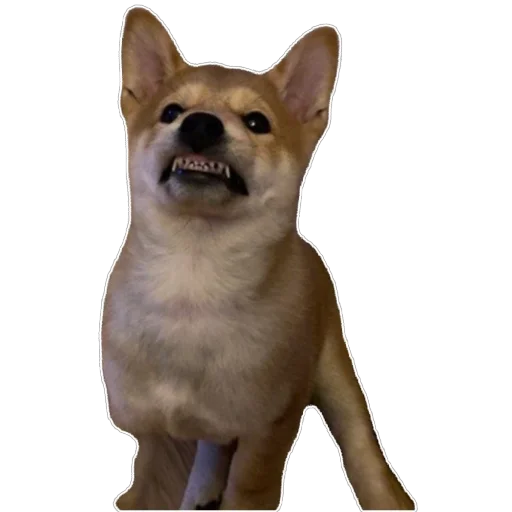 Sticker Akinator2 - 1