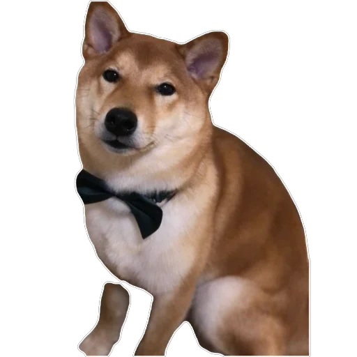 Стикер Akinator2 - 1