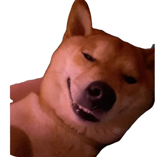 Стикер Akinator2 - 1