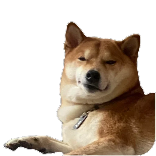 Sticker Akinator2 - 1