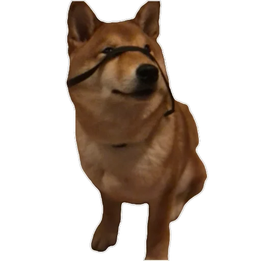 Sticker Akinator2 - 1