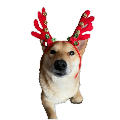 Sticker Akinator2 - 1