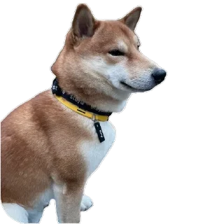 Sticker Akinator - 5