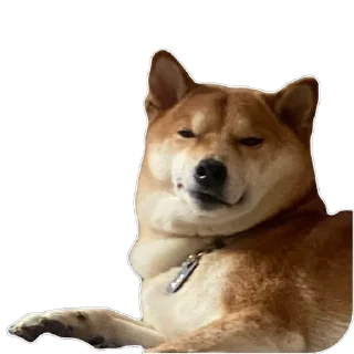 Sticker Akinator - 9