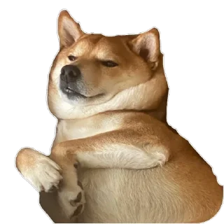 Sticker Akinator - 6