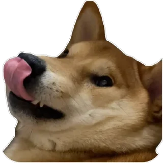 Sticker Akinator - 11