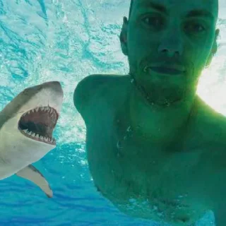 Sticker Акулье торнадо - 4