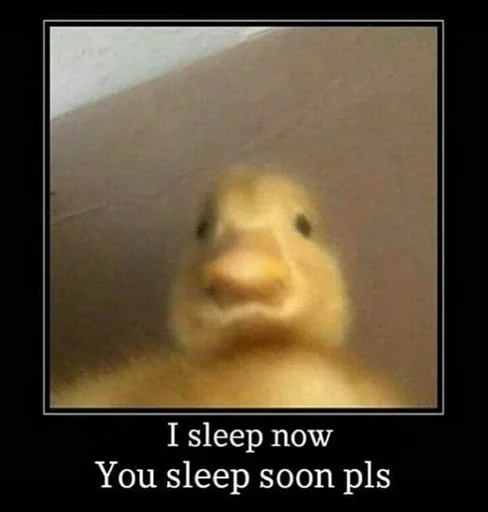 Стикер бб :: @fStikBot - 6