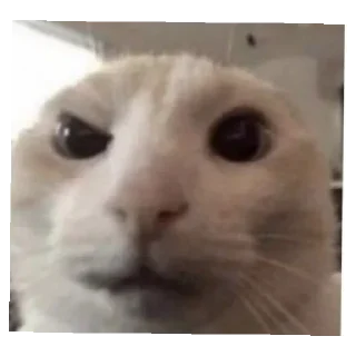 Sticker Алалла - 1