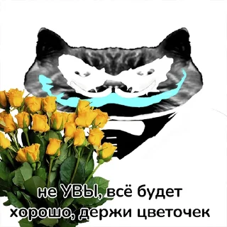 Стикер УВЫ-блеты (@stibleto) - 3