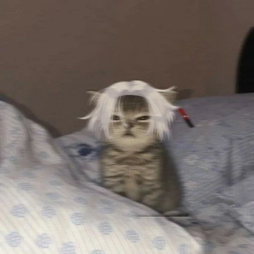 Стикер Токарчики🖤👾 :: @fStikBot - 8