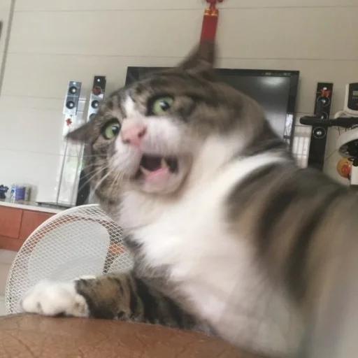 Стикер К🖤 - 9