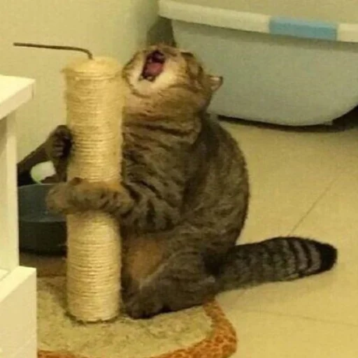 Стикер К🖤 - 5