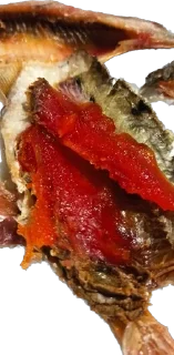 Sticker AlcoSubaruchat - 5