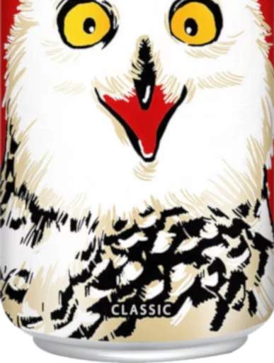 сова хищная птица животное