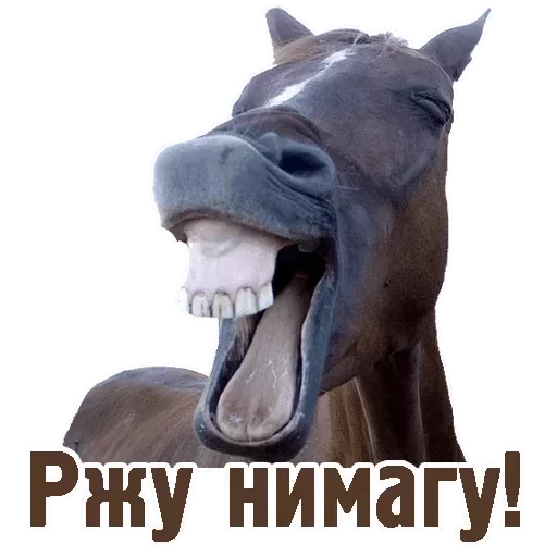 животное млекопитающее лошадь