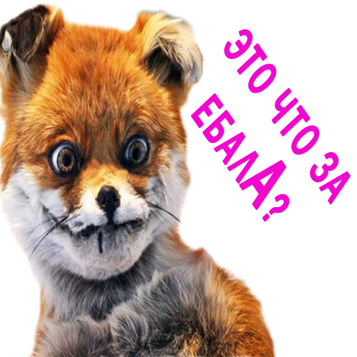 Sticker AlenaRef - 1