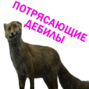 Стикер AlenaRefchik - 3