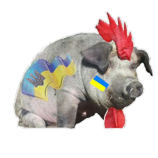 свинья фигура животного suidae