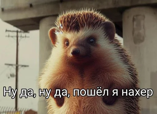 Стикер Alex_Hedgehogs - 1