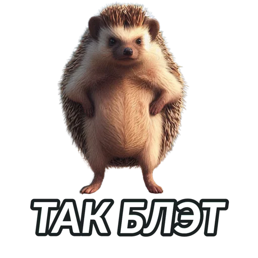 Sticker Alex_Hedgehogs - 1