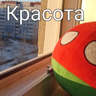 Стикер Александр 🇧🇾😎 - 11