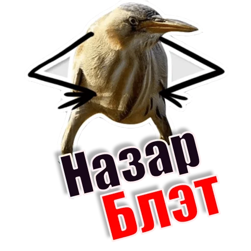 Стикер Спать_БлЭТ - 11