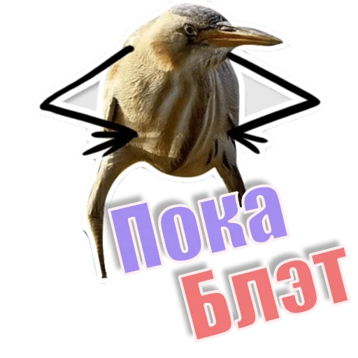 Стикер Спать_БлЭТ - 10