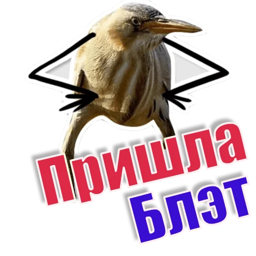 Стикер Спать_БлЭТ - 5