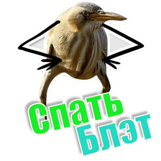 Спать_БлЭТ - 