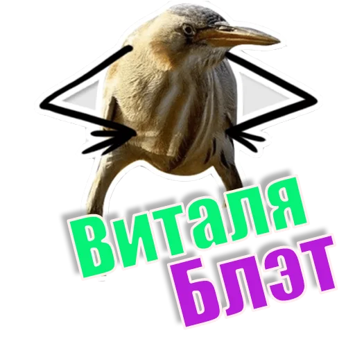 Стикер Спать_БлЭТ - 1