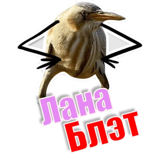 Стикер Спать_БлЭТ - 0