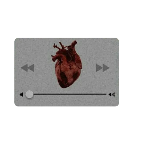 beetle acarine invertebrate