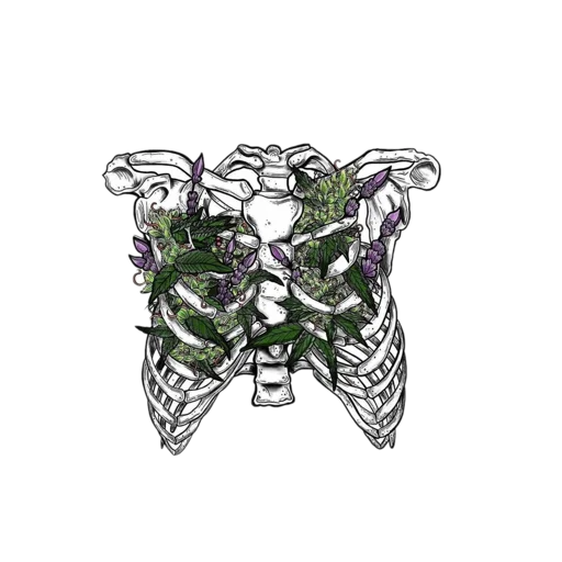 butterfly moths and butterflies art