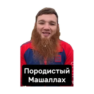 Sticker Альхамдулиллях - 0