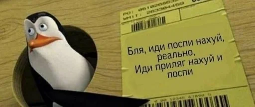 text bird aquatic bird