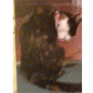 Sticker Алиса - 11