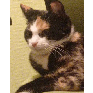 Sticker Алиса - 9