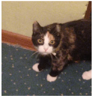 Sticker Алиса - 2