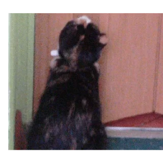 Sticker Алиса - 3