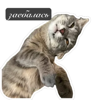 Стикер Алишка💋 - 3