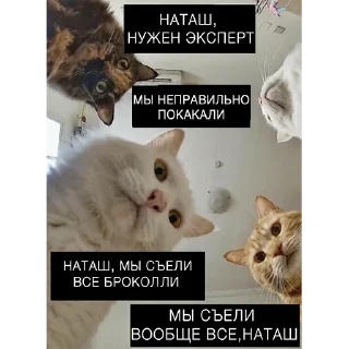 Стикер Alispoofer - 11