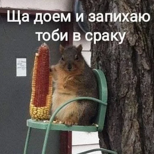 Стикер Alkabo - 1