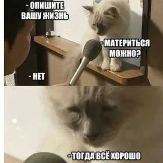 Стикер Набор хуйни - 9