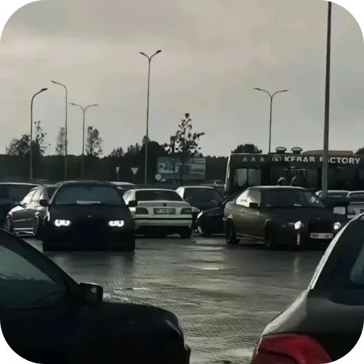 Sticker Alkashej - 1