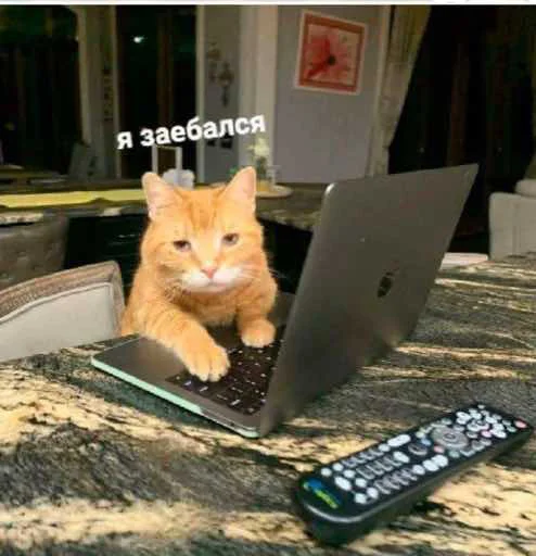 Sticker AlkoMexican - 1