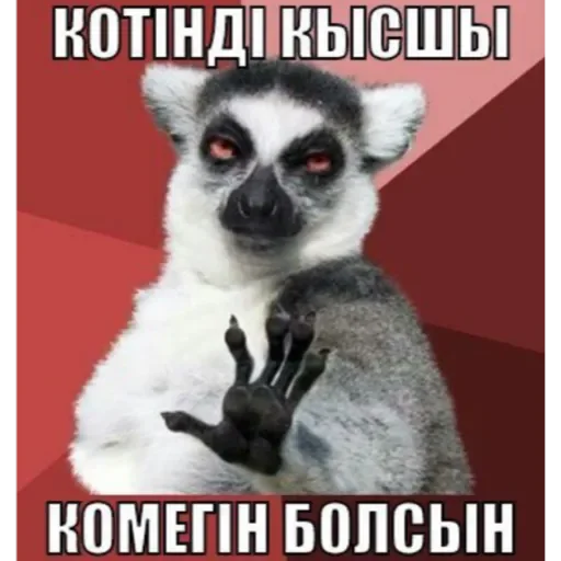 примат животное млекопитающее