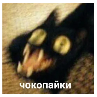 Стикер my_SticPack - 1