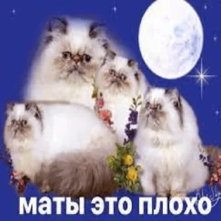 Стикер my_SticPack - 4